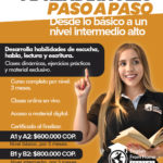 Curso por niveles